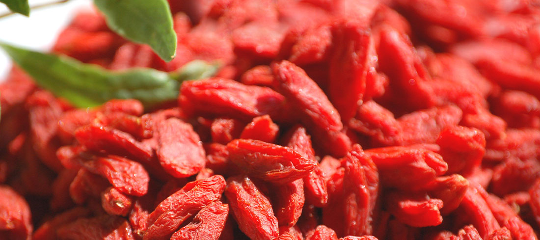 Goji Berry